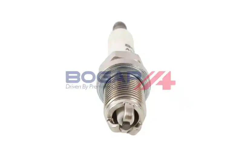BOGAP A1514117 BOGAP A1514117