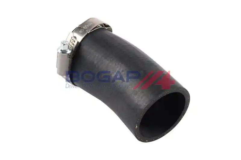BOGAP A1711154