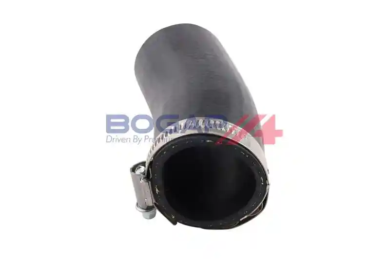 BOGAP A1711154