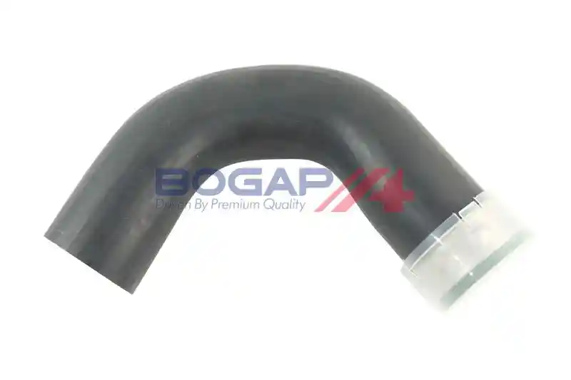 BOGAP A1711166