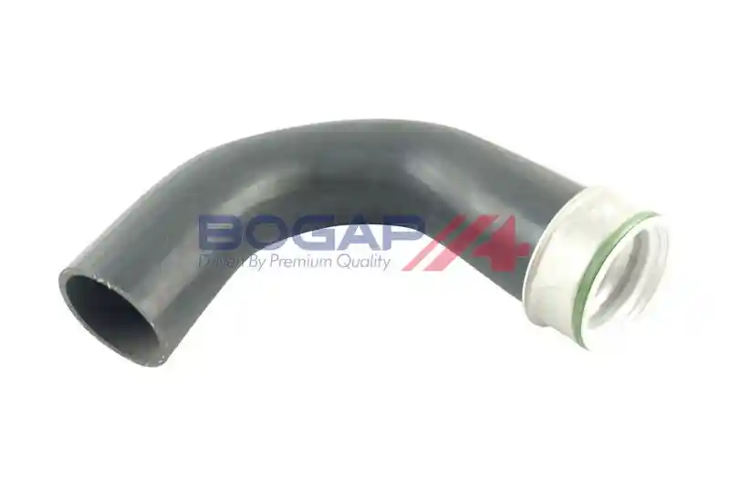 BOGAP A1711166
