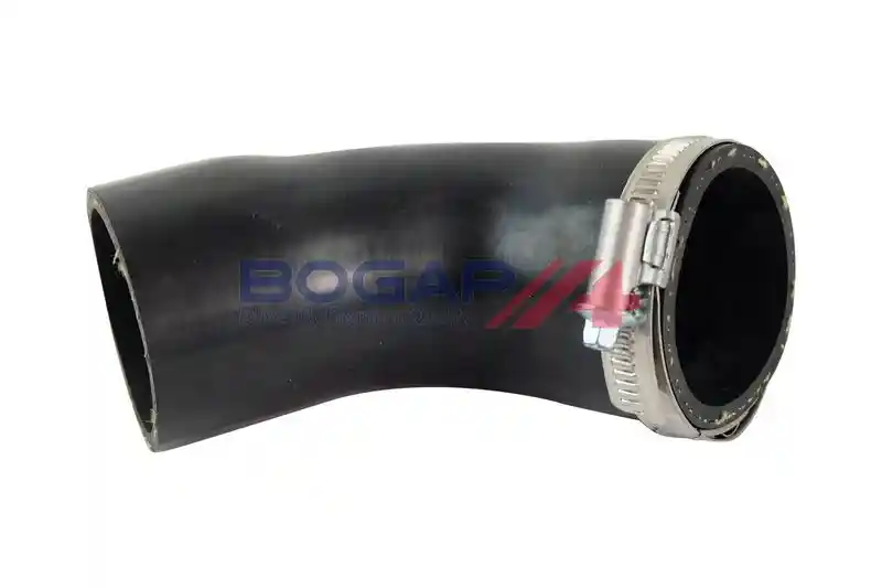 BOGAP A1711169 BOGAP A1711169