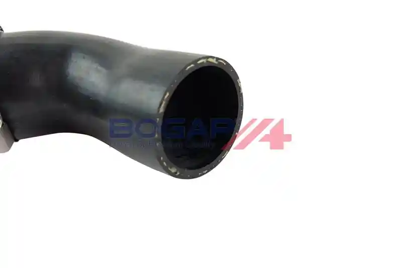 BOGAP A1711169 BOGAP A1711169