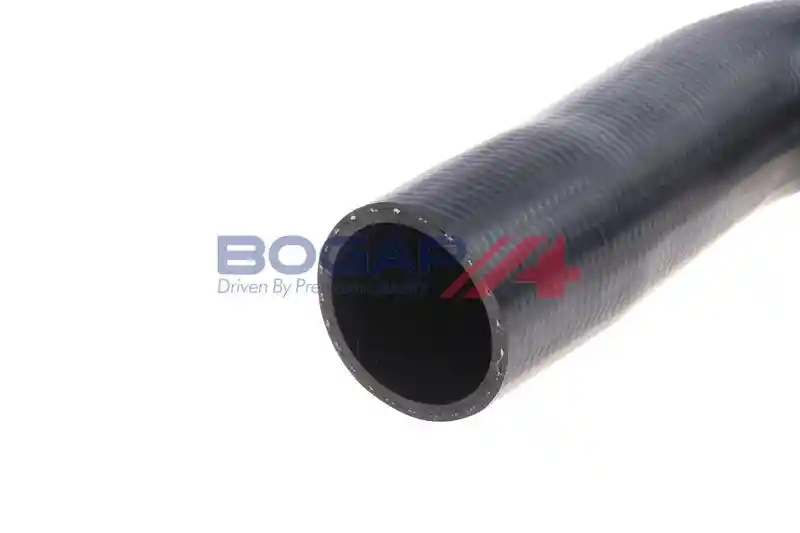 BOGAP A1711205
