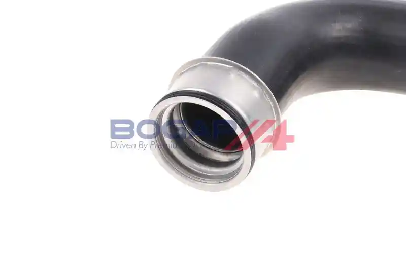 BOGAP A1711246