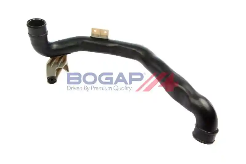 BOGAP A1711398