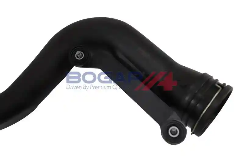 BOGAP A1711399 BOGAP A1711399