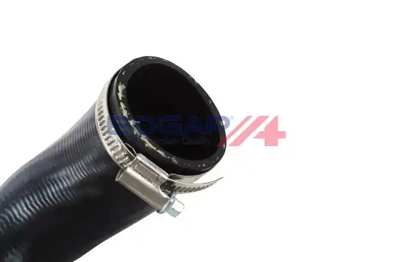 BOGAP A1711404