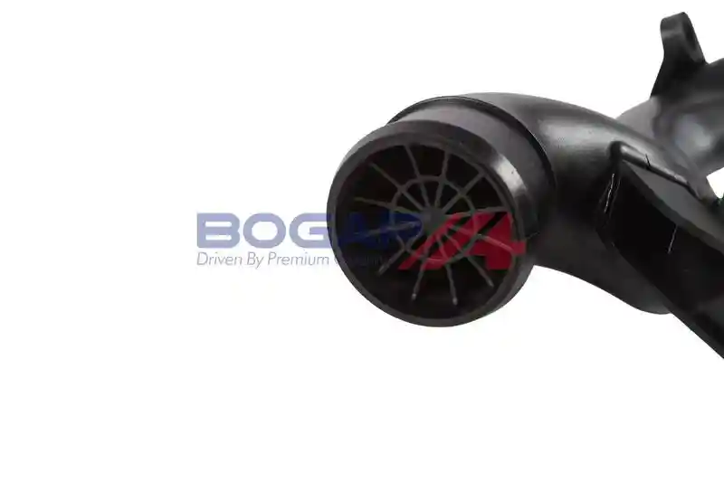 BOGAP A1711491
