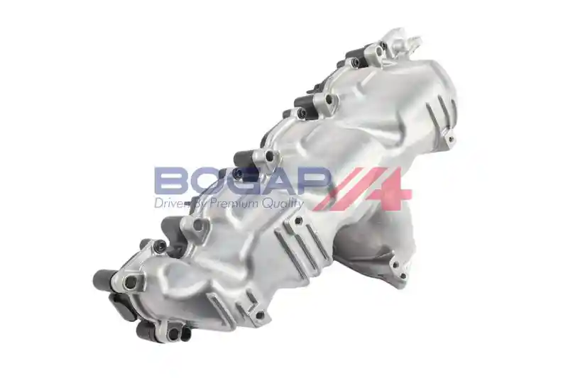BOGAP A1712103
