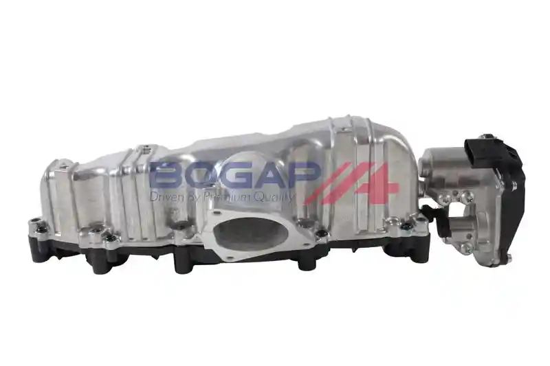 BOGAP A1712128