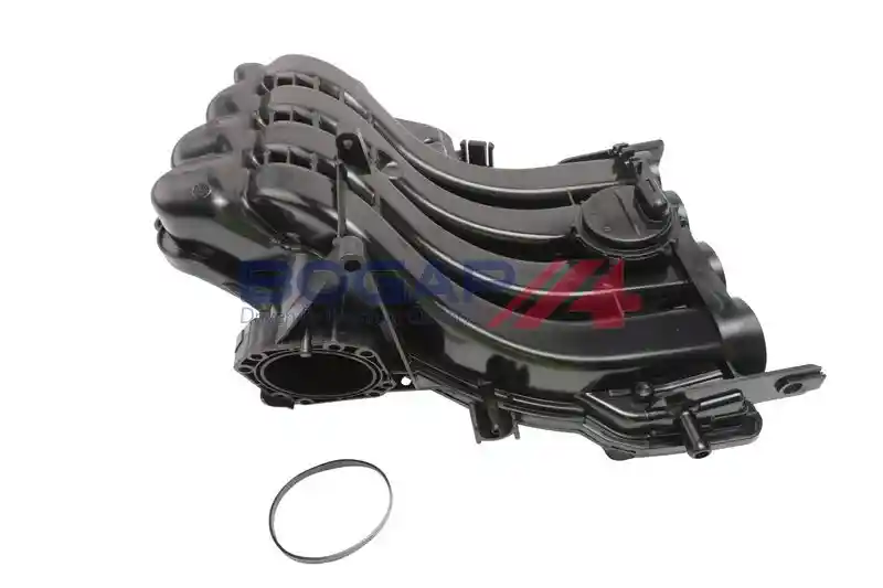 BOGAP A1712146