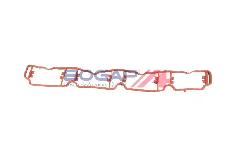 BOGAP A1715101