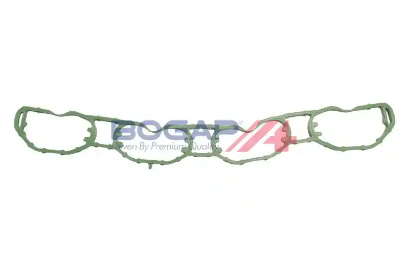 BOGAP A1715117