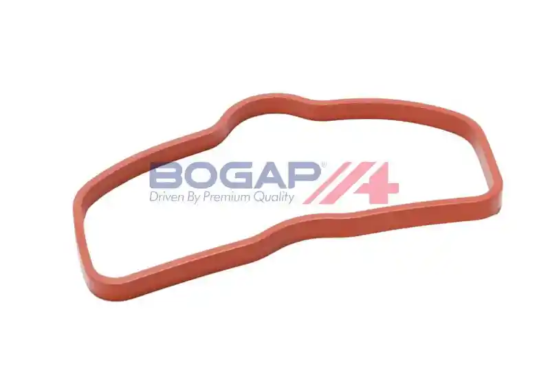 BOGAP A1715118