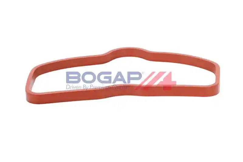 BOGAP A1715118
