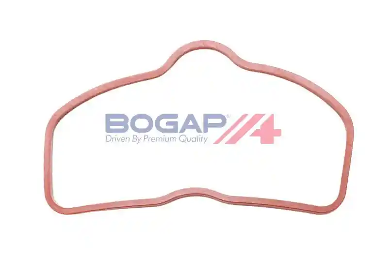 BOGAP A1715118