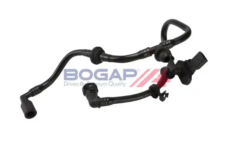 BOGAP A1912168