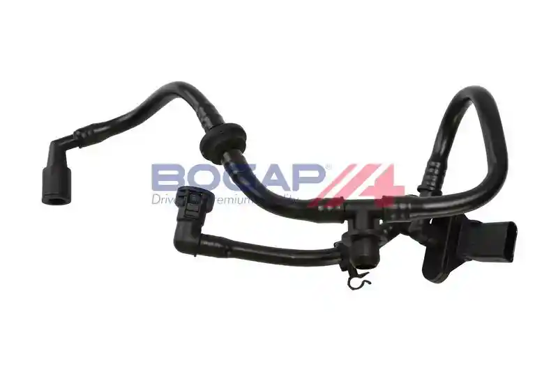 BOGAP A1912168