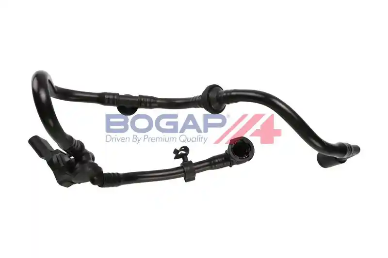 BOGAP A1912168
