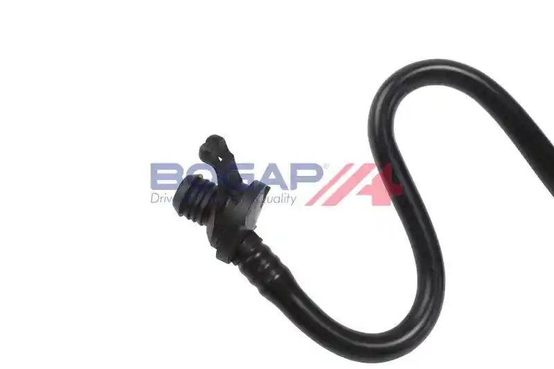 BOGAP A1912172