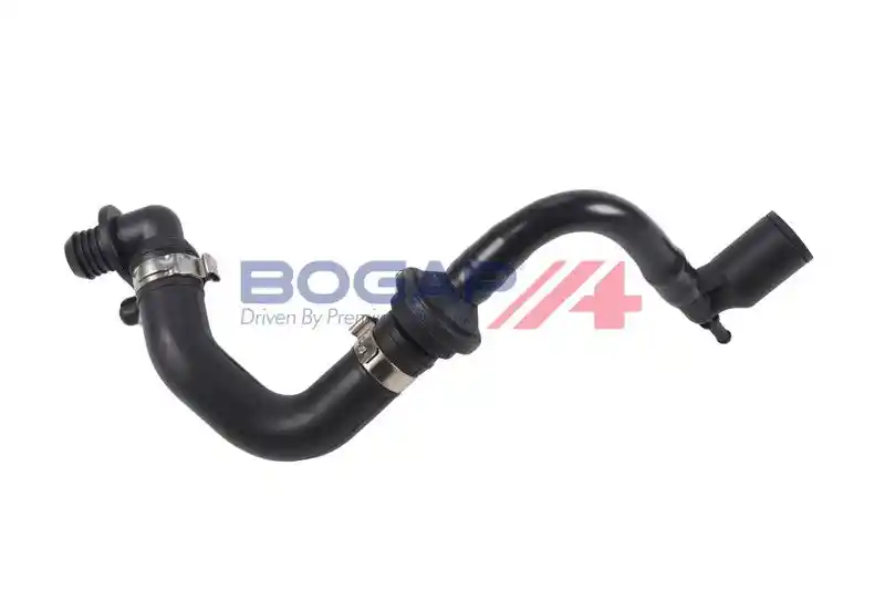 BOGAP A1912175