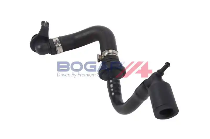 BOGAP A1912175