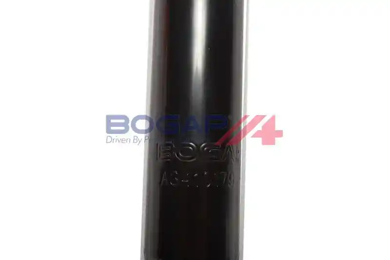 BOGAP A3410179 BOGAP A3410179