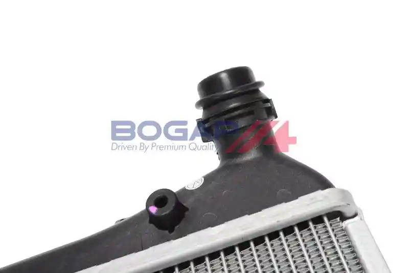 BOGAP A4210264 BOGAP A4210264