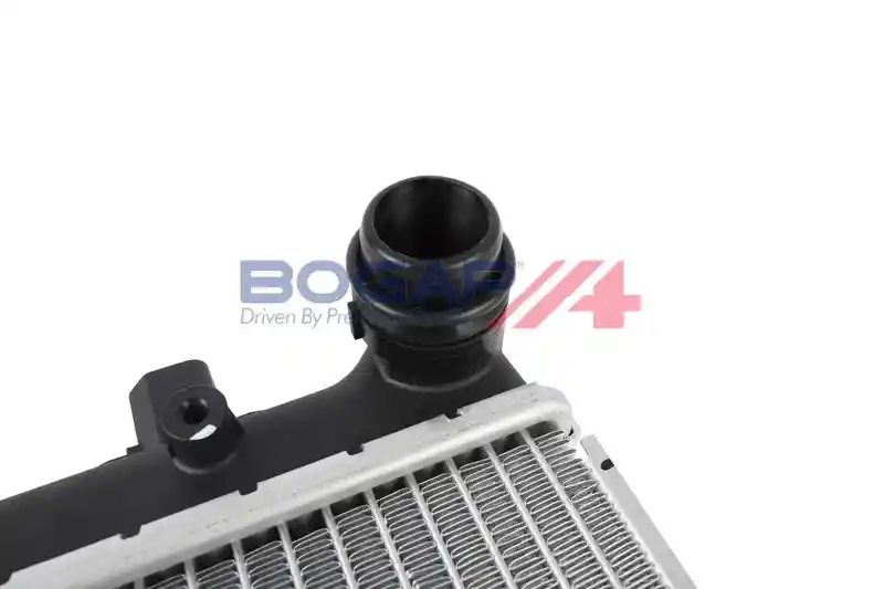 BOGAP A4210276 BOGAP A4210276
