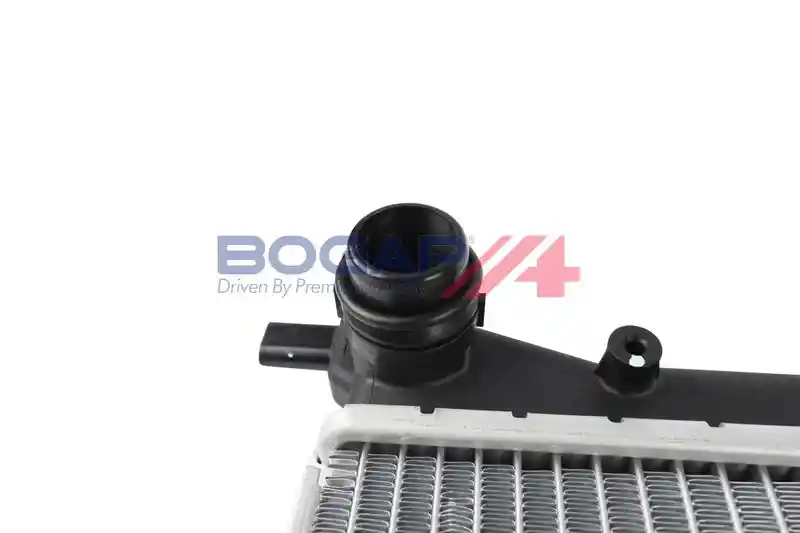 BOGAP A4210276 BOGAP A4210276