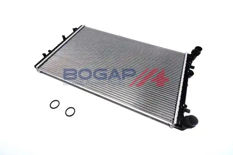 BOGAP A4210279