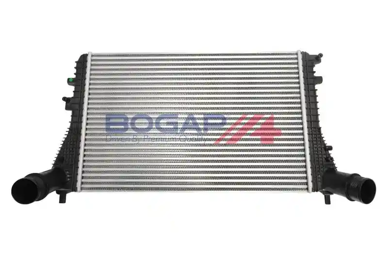 BOGAP A4220101