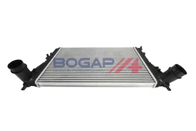 BOGAP A4220101