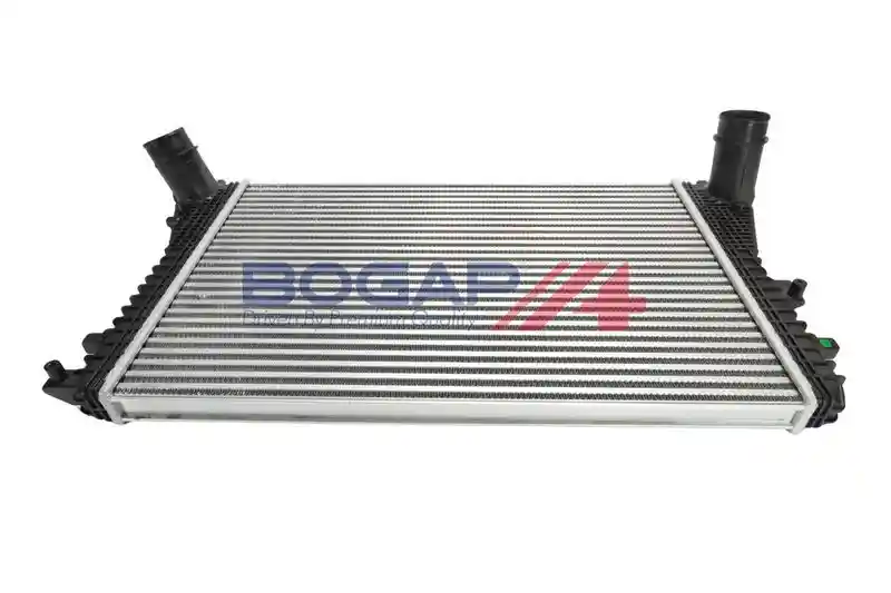BOGAP A4220101