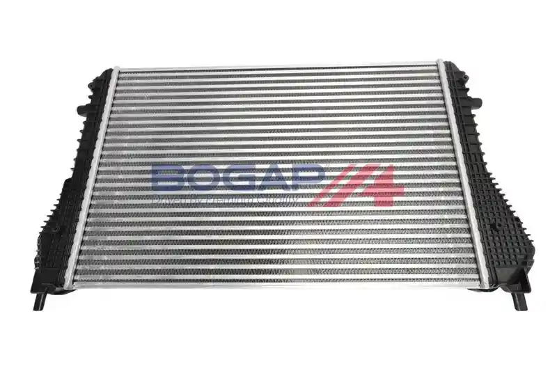 BOGAP A4220101