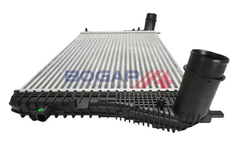 BOGAP A4220101