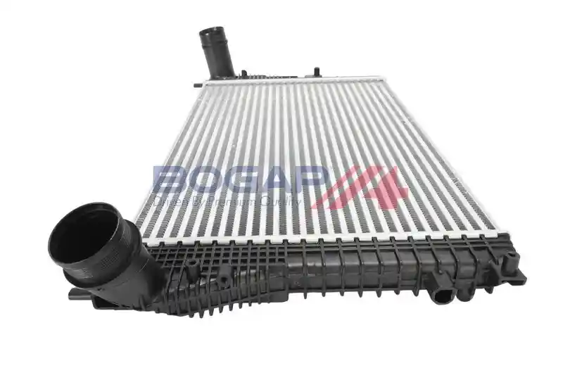 BOGAP A4220114