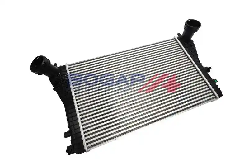 BOGAP A4220116