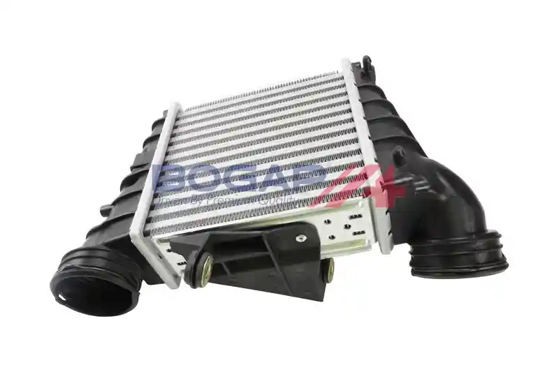 BOGAP A4220121