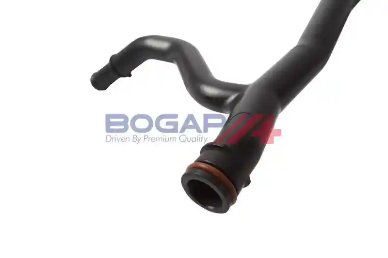BOGAP A4229174