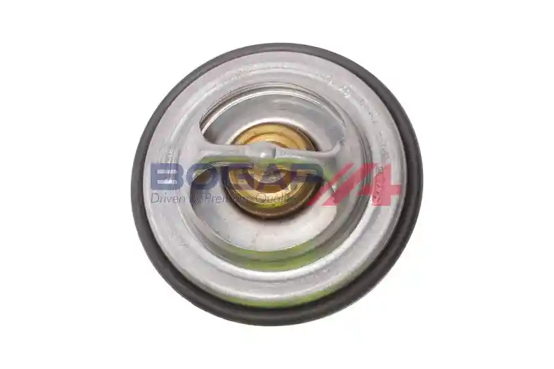 BOGAP A4245100 BOGAP A4245100
