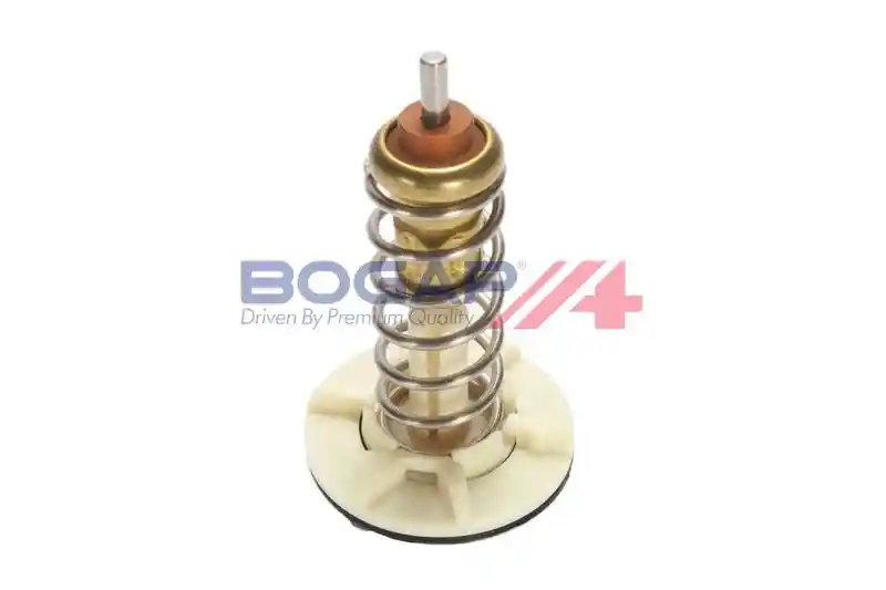 BOGAP A4245161 BOGAP A4245161
