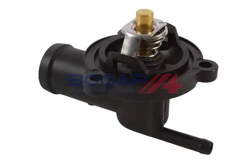 BOGAP A4245173 BOGAP A4245173