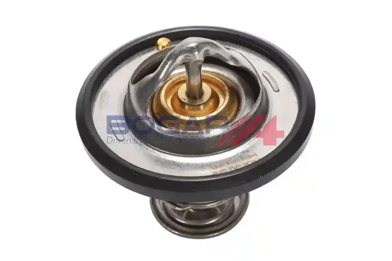 BOGAP B4245124