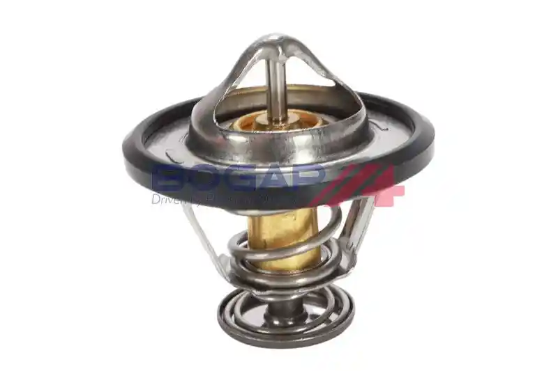 BOGAP B4245124