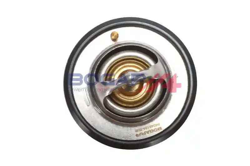 BOGAP B4245124