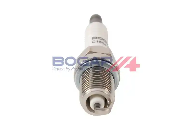 BOGAP C1514119