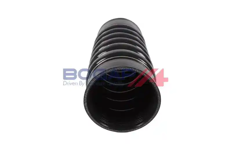 BOGAP C1711263