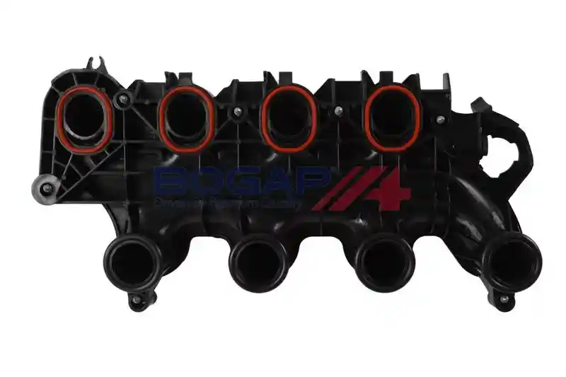 BOGAP E1712103